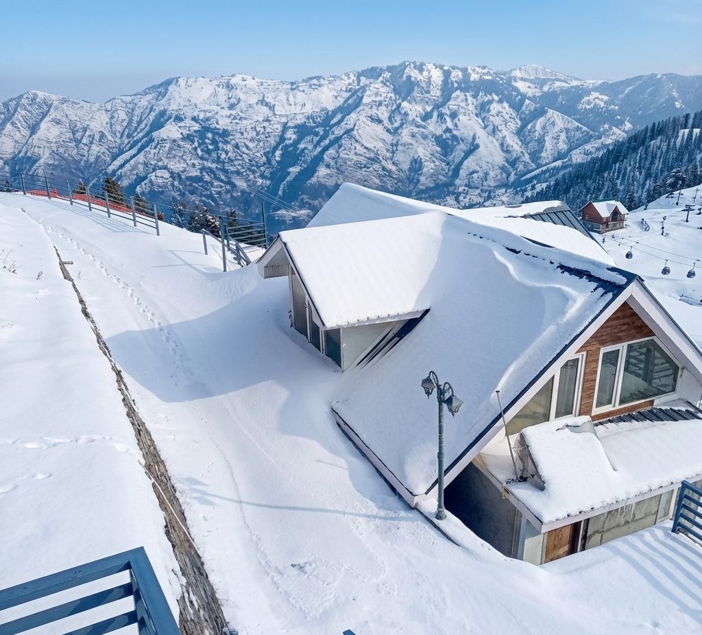 Flowers blooming on the terrace